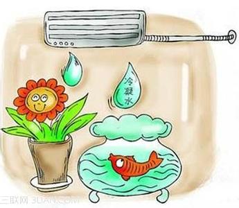 空调冷凝水 空调冷凝水可用来养花
