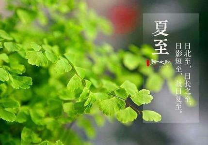 夏至未至 傅小司后悔 夏至后多久入伏