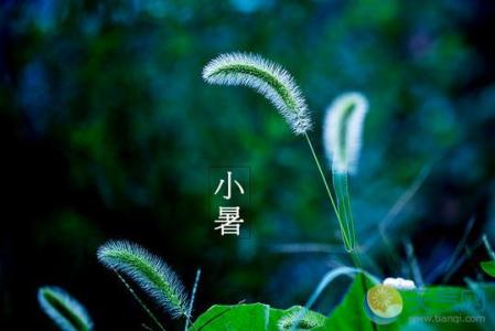 夏至节气 夏至的下一个节气是什么