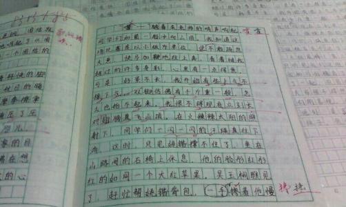 证婚词八篇 初一作文：秋游650字 八篇