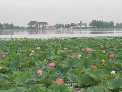 方正莲花湖 方正莲花湖公园