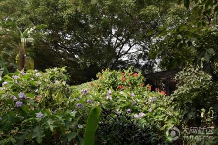 厦门毓园门票 厦门亚热带植物引种园