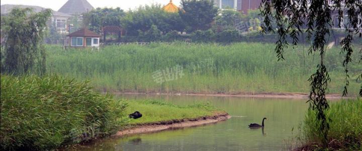 红螺湖百鸟园 北京红螺湖百鸟园