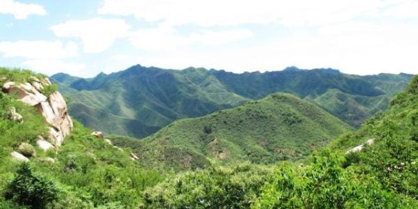 鳞龙山自然风景区 鳞龙山自然风景区的景点介绍