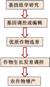 生命的距离作文300字 生命的距离