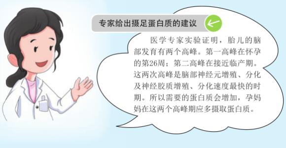 孕期9个月饮食注意事项 孕晚期饮食注意事项