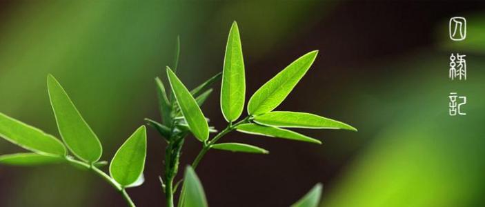 囚绿记阅读答案高中 囚绿记阅读答案