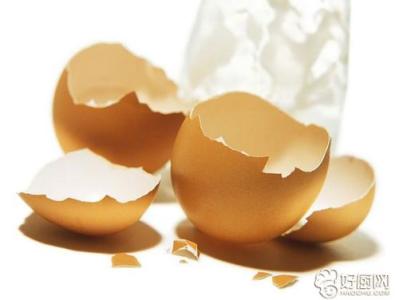 鸡蛋壳的妙用 鸡蛋壳有什么妙用？鸡蛋壳的妙用