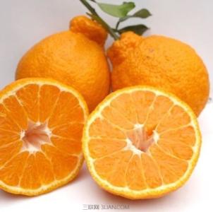丑橘和丑柑如何分辨 如何挑选丑柑
