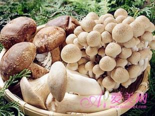 菇类巧养生：如何挑选新鲜蘑菇