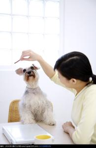 老年人的日常生活护理 幼犬日常生活护理正确方法