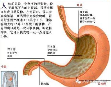 老年人健康保健的建议 有益老人胃健康的3点建议