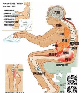 久坐腰疼是什么原因 久坐是致死的主要潜在原因