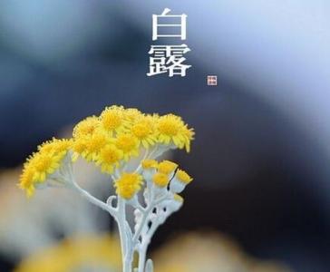 白露横江 水光接天 白露是哪天，白露是什么时候