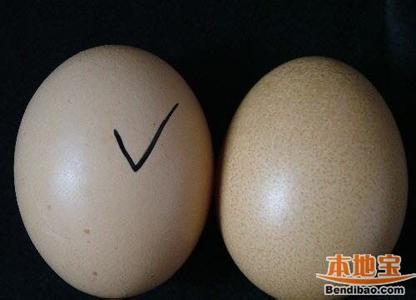 如何鉴别假鸡蛋 教你如何鉴别鸡蛋