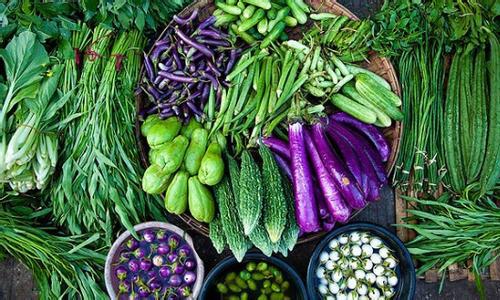 蔬菜怎样吃才健康 蔬菜怎样吃才最健康