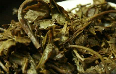红茶叶渣有什么妙用 茶叶渣的十大妙用