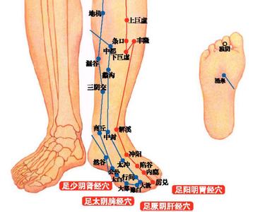 涌泉穴位位置图 涌泉穴位在哪里？如何按涌泉穴位养生