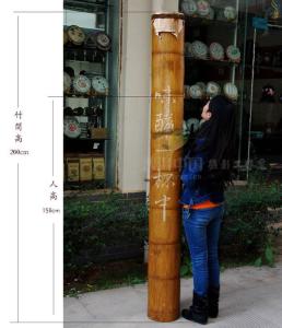世界最粗的竹子 世界最大的竹子