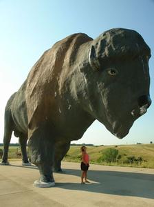 世界上最大的马 世界上最大的牛