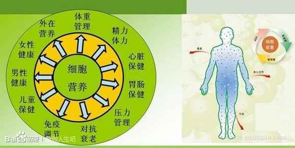 营养师就业状况 从身体各部位看你的营养状况