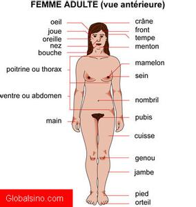 人身体内脏部位 身体哪些部位是最脏的_女人身体最脏的4个部位