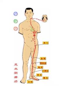 脾虚肾虚 为什么脾衰比肾虚更可怕