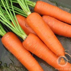 胡萝卜减肥一周瘦10斤 胡萝卜可以减肥吗