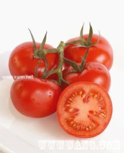 西红柿瘦身 夏季瘦身宜吃西红柿
