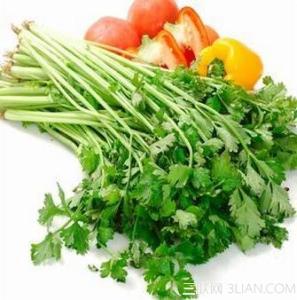 四种清肠排毒蔬菜汁 四种最佳减肥蔬菜