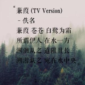 大汉情缘之云中歌陆毅 陆毅《大汉情缘之云中歌》主题曲 《云天外》歌词