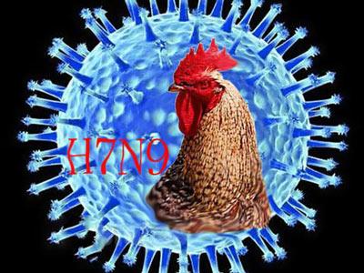 h7n9禽流感潜伏期 H7N9禽流感潜伏期有多久