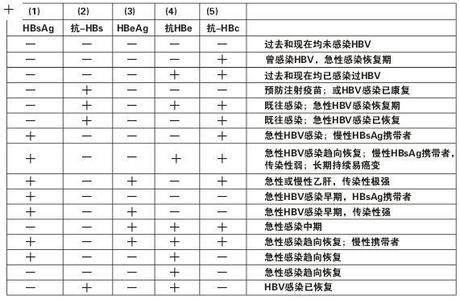 乙肝两对半对照表 乙肝两对半对照表(2)