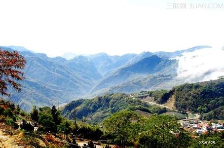 阿里山宝岛罐 畅游宝岛台湾 观阿里山的登山铁路