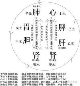 气血不足如何调理 什么是气血，气血如何运作