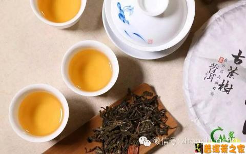 普洱茶的功效与作用 喝普洱茶可以减肥么