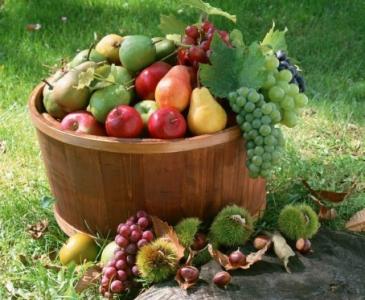 如何健康吃水果 如何健康科学吃水果