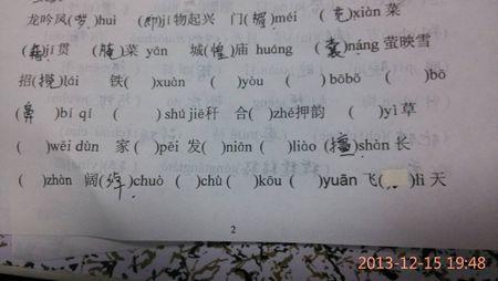 初中语文易错读音 初中语文易错读音字注音