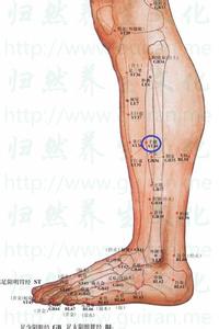 按摩脚部穴位可养肾 冬季养肾的3大穴位