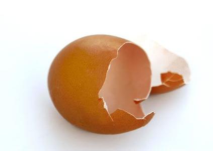 鸡蛋壳的十二个妙用 鸡蛋的16个妙用