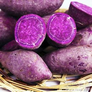 紫薯便秘 常吃紫薯能预防便秘还能减肥
