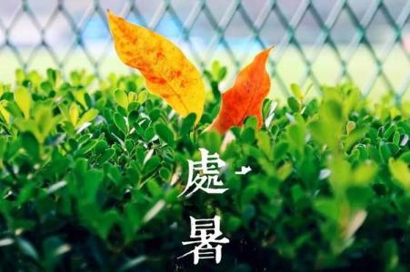 处暑节气 处暑节气做什么运动好