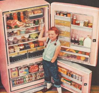 超低温冰箱的使用保养 史上最强冰箱使用保养大法