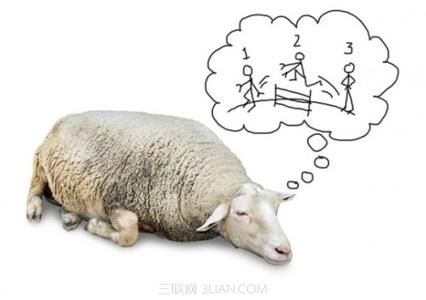 失眠数绵羊的笑话 失眠时数绵羊有用吗？