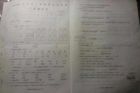 小学3年级语文试卷分析 三年级语文下册试卷分析