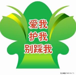 校园爱护花草标语 爱护校园花草提示语