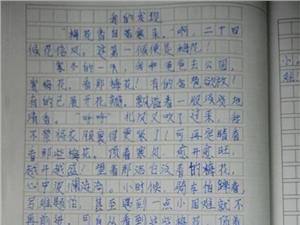 我的小发明作文300字 我的小发明作文精选4篇