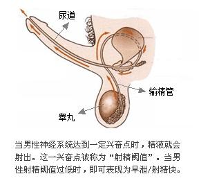 影响严重早泄的原因 严重早泄形成的原因