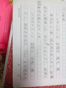 三年级观察日记300字 观察日记事物 三年级