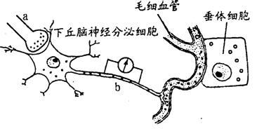 高一生物动物和人体生命活动的调节单元练习